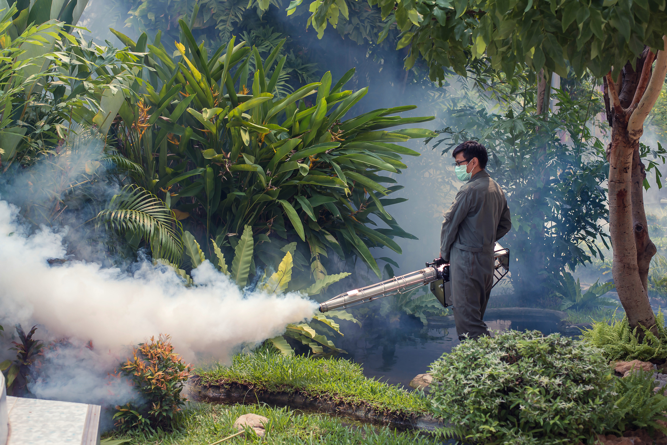 The man fogging to eliminate mosquito